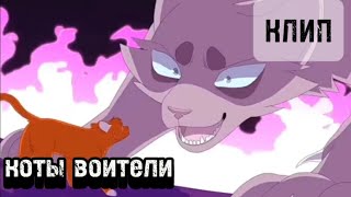 Коты воители КЛИП 🐱Хэй знаеш сколько я скрестил мечей [upl. by Mell722]