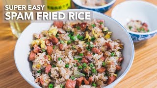 SPAM FRIED RICE  DUDE COOKS [upl. by Thagard]