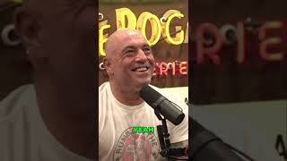 Is Humor Off Limits Musk and Rogan Discuss Email Scandals podcast jre youtubeshorts [upl. by Maggy301]