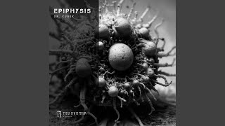 Epiphysis [upl. by Aiciles]