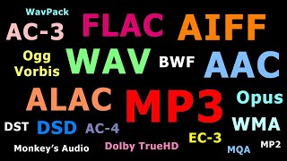 Explaining Audio File Formats [upl. by Christianson597]