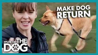 How to Get Your Dog to Return  Its Me or the Dog [upl. by Riella722]