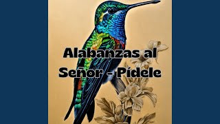 Alabanzas al Señor  Pídele [upl. by Arakawa]