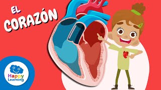 ❤️ 6 Cosas que NO Sabías del CORAZÓN ❤️ 🩺 Vídeos Educativos para Niños  Happy Learning Español [upl. by Eiralam107]