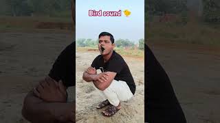 bird sound 🐤🐣😃😁😀 Hussain7star viral shorts trending funny comedy shortvideos shortsfeed [upl. by Nothgierc]