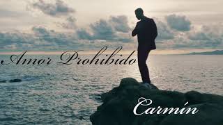 Romeo Santos Prince Royce  Carmín X Amor Prohibido Remix  Mashup [upl. by Skye]