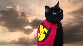 Super Hero Cat Official Music Video  N2 the Talking Cat S2 Ep18 [upl. by Hume]