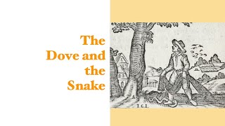 The Dove and the Snake [upl. by Yrac769]