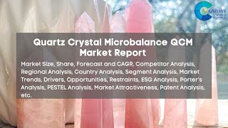 Quartz Crystal Microbalance QCM Market Report [upl. by Onailerua]