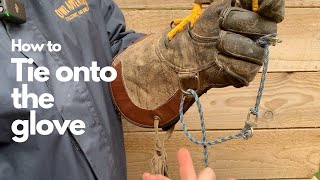 How to tie the falconers knot onto your glove  Falconry advice [upl. by Hareehahs]