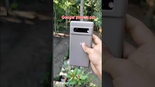 Google Pixel 6 Pro Camera Test🌺📸 pixel6pro shortsvideo [upl. by Sweyn757]