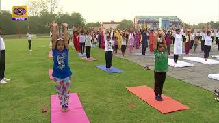 4th International Yoga Day  TV Report [upl. by Irelav]