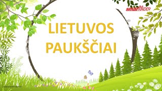 ✅ Lietuvos paukščiai  SmartkinderTV  Filmukai vaikams lietuviškai [upl. by Eehc837]