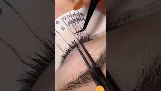 Lash with me mixing brown and black lashes together [upl. by Ahnavas]