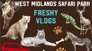 Day trip to West Midlands Safari Park [upl. by Angelle]