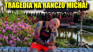 TRAGEDIA na RANCZO MICHA Taki BŁĄD [upl. by Nasho750]