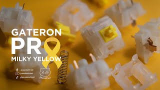 Gateron Pro Milky Yellow  Out of the Box Thoccs [upl. by Dnomde]