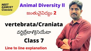 Vertebrate or Craniata  వర్టిబ్రేటా లేదా క్రేనియేటా  Animal Diversity 2  Class 7 [upl. by Eidde]