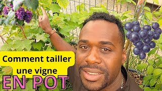 Comment avoir du raisin une en pot [upl. by Georgette]