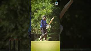 Strikes skills and precision Watch our tigers on the crease  Kochi Blue Tigers [upl. by Ezmeralda]