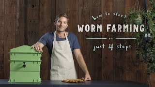 How to start a worm farm in 4 steps vermiculture made easy [upl. by Anrak]