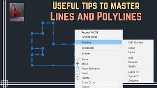 Autocad  Lines and Polylines Useful tips to master them [upl. by Assadah64]