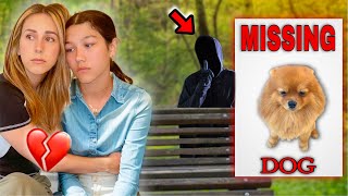 We Found Out Who TOOK Our MISSING Puppy March Pom LEADS full movie [upl. by Craven15]