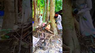 The man was able to catch the snake with binbasin Part2 rescue animals snake [upl. by Vine361]