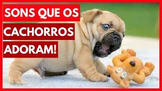 SONS que os cachorros ADORAM ouvir Assista com seu cão [upl. by Aitat]