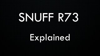 SNUFF R73 EXPLAINED AND DEBUNKED  What Is It What Does It Include [upl. by Adolpho476]