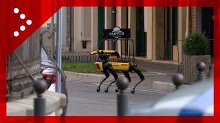 Cordovado PN uomo barricato in casa cane robot in azione [upl. by Eiddet]