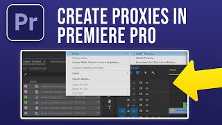 How to Create Proxies in Premiere Pro 2024 [upl. by Ahsai]