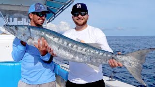 Giant Barracudas Crushing Topwater Baits with Seal Skin Covers [upl. by Senhauser]