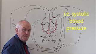 Heart 3 Pulmonary and Systemic circulation [upl. by Polito]