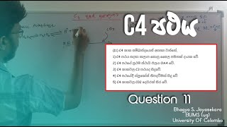 C4 පථය  Small revision MCQ  Bhagya S Jayasekara  Biology  AL  Q11 [upl. by Anaitsirhc]