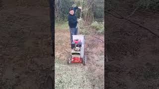 Tree Chipper  Energy Efficient and High Efficiency [upl. by Emory]