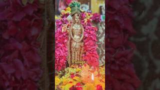 Thiruchenduril kadalorathil Murugan whatsapp song முருகன் murugansongs murugan trendingshorts [upl. by Giusto30]