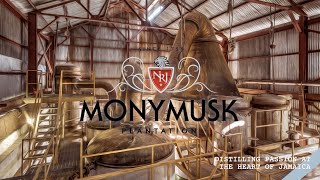 The Museum Of Rum Distillation  Clarendon Distillery Ep02 [upl. by Fen]