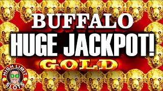 Buffalo Gold High Limit Jackpot Hard Rock LAS VEGAS [upl. by Adnopoz]