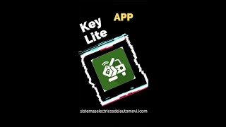 APP Key lite programación de llaves de automóvil [upl. by Yesiad]