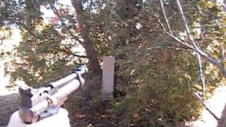 2240 pellet gun vs dry wall [upl. by Volny]