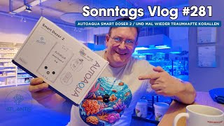 💦Der Meerwasseraquaristik Sonntags Vlog EP 281💦AutoAqua Smart Doser 2 amp Geile Korallen aufs Auge 💦 [upl. by Aelahs]