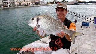 Pêche des grosses dorades de Sète par Europêche34 [upl. by Eelam772]