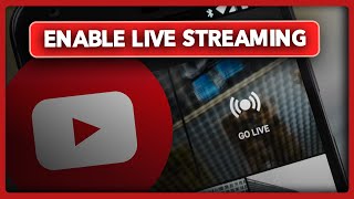 How to Enable Live Streaming on YouTube 2024 [upl. by Elgna]