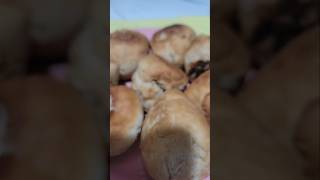 Bolinho doce delicioso [upl. by Ferdie55]