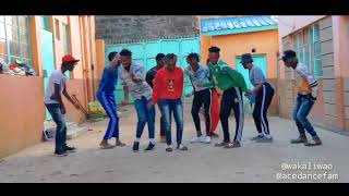 Dj Madness Fess ka fe bang Dance Video MOB Dancers [upl. by Torin]