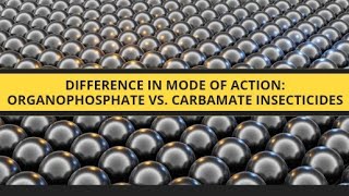 Difference in Mode of Action Organophosphate vs Carbamate Insecticideskasamacademy [upl. by Johanna817]