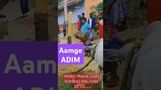 AMGE ADIM KHERWAL Sohrai song [upl. by Janeen]