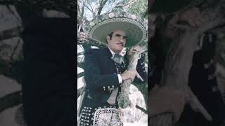 Tu ingratitud Vicente Fernández musica regionalmexicano amor [upl. by Sisson897]