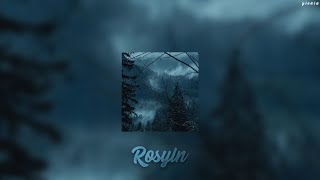 Bon Iver  Roslyn spedupreverb [upl. by Poppo]